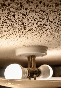 a ceiling light that shows the popcorn ceiling